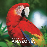 Life Of The Amazonia - Kickstarter